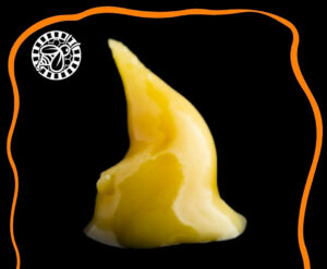 Beezle Extracts premium cannabis concentrates live resin jar with golden terpene-rich extract